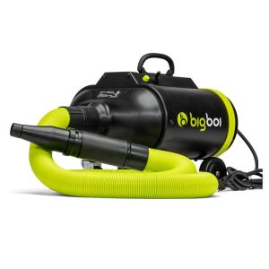 Bigboi Blowr pro električni sušač spoljašnjosti automobila